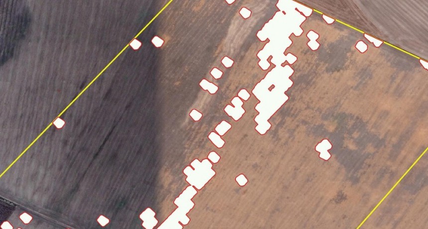 Malezas: los drones marcan un camino hacia más eficiencia y menos costos