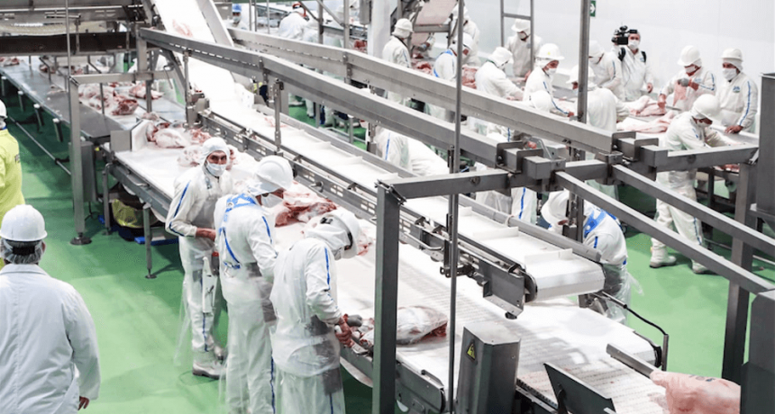 El peso medio de faena llegó a 237 kilos: “El mejor valor en 100 años”, según el Gobierno