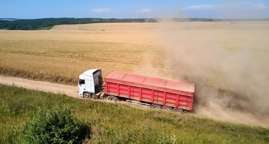 El flete en camión se lleva hasta 33% del precio de los granos y es hasta 75% más caro que en países competidores