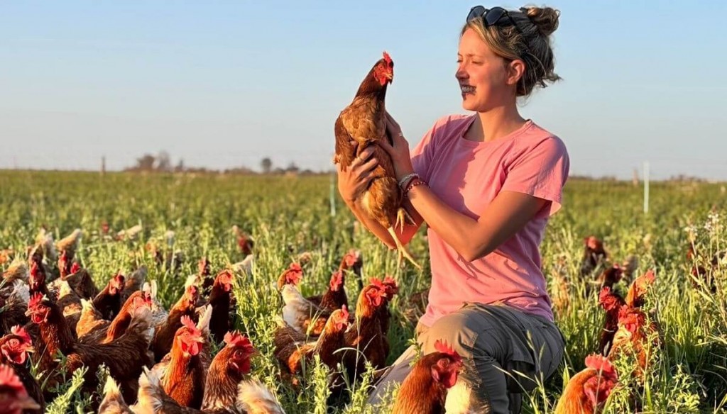 En el Día Mundial del Huevo, las gallinas celebran ser libres y “felices” con Doña Fortunata