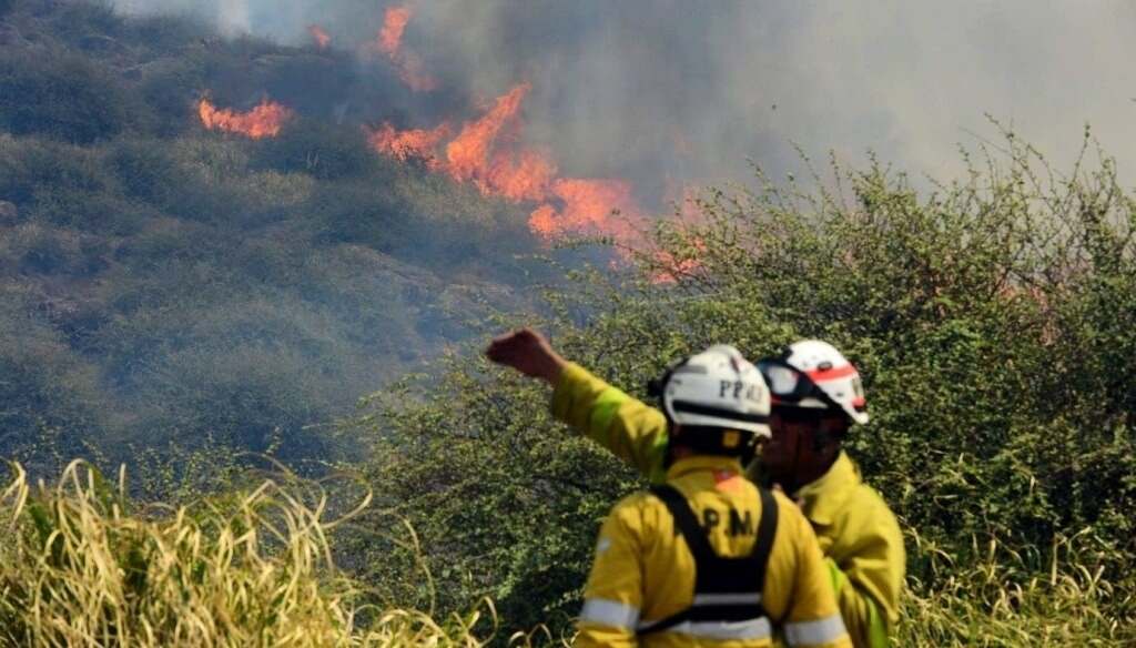 Córdoba vuelve a sufrir incendios en primavera y la Sociedad Rural realizó un fuerte reclamo
