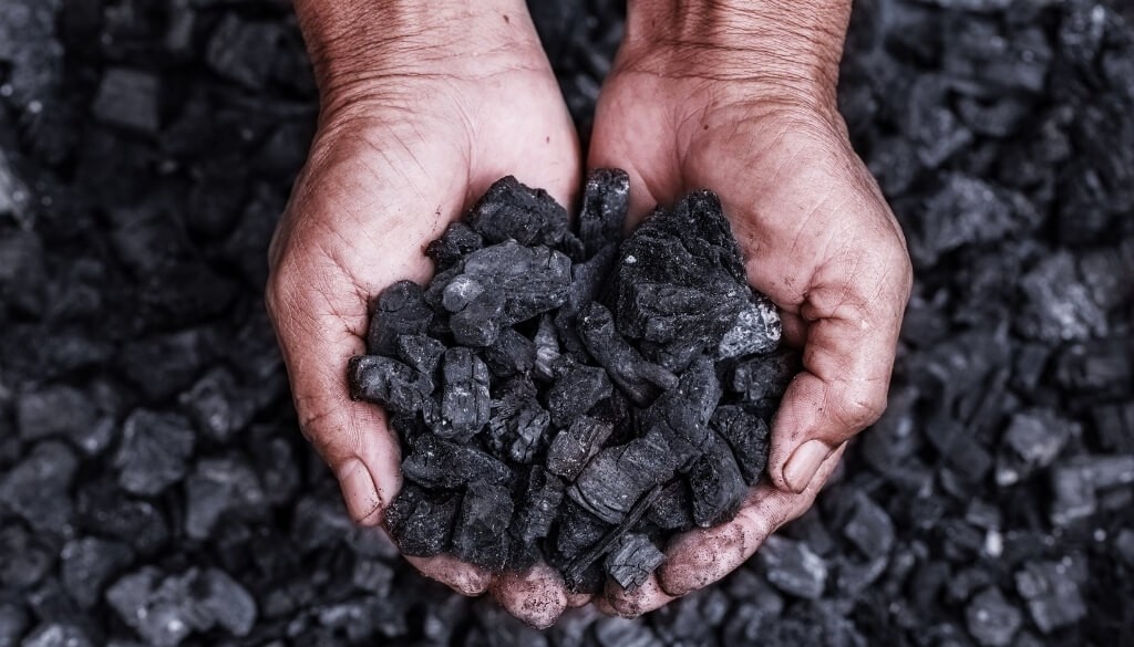 Argentina apuesta al biochar: cómo es la innovación forestal que ayuda a capturar carbono