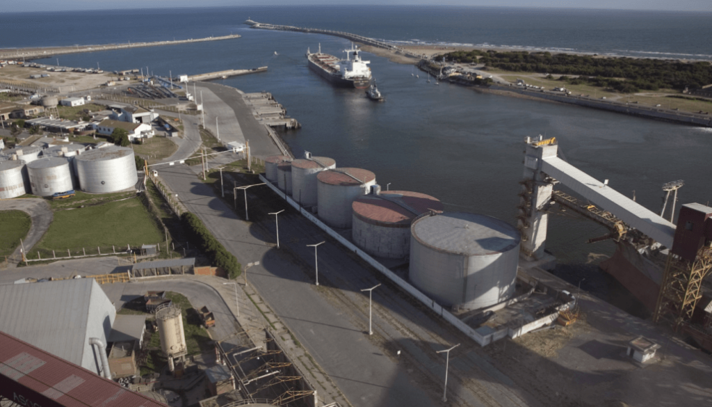 Desregulación agrícola: el Gobierno derogó otras 8 normativas que eran ejecutadas por el Senasa