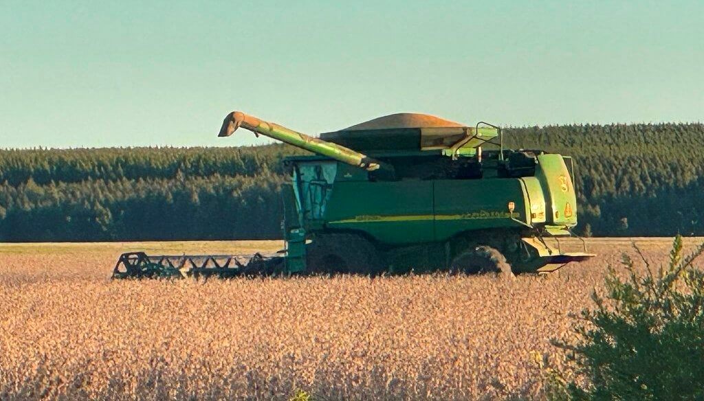 “Agravan las brechas de competitividad”: en Entre Ríos, las retenciones se llevan U$S 93 millones por año