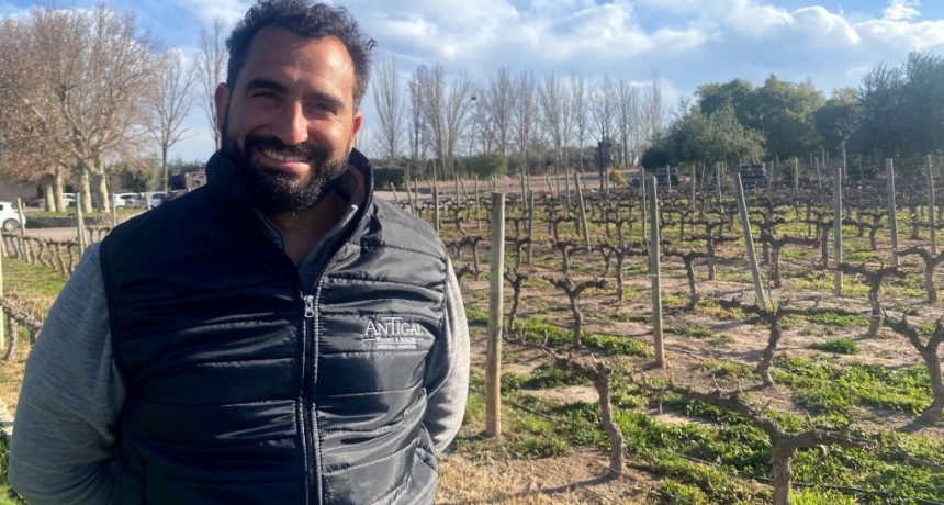 “Terroir lab”: el modelo tecnológico al que apuestan las bodegas para potenciar la producción de vino