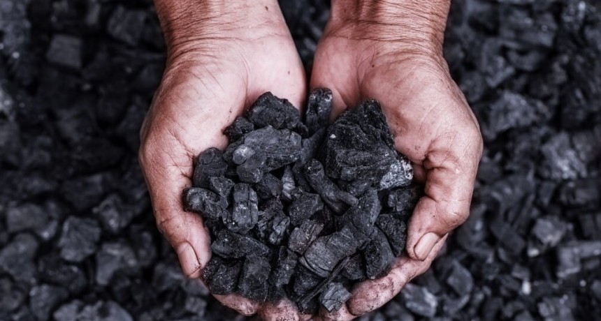 Argentina apuesta al biochar: cómo es la innovación forestal que ayuda a capturar carbono