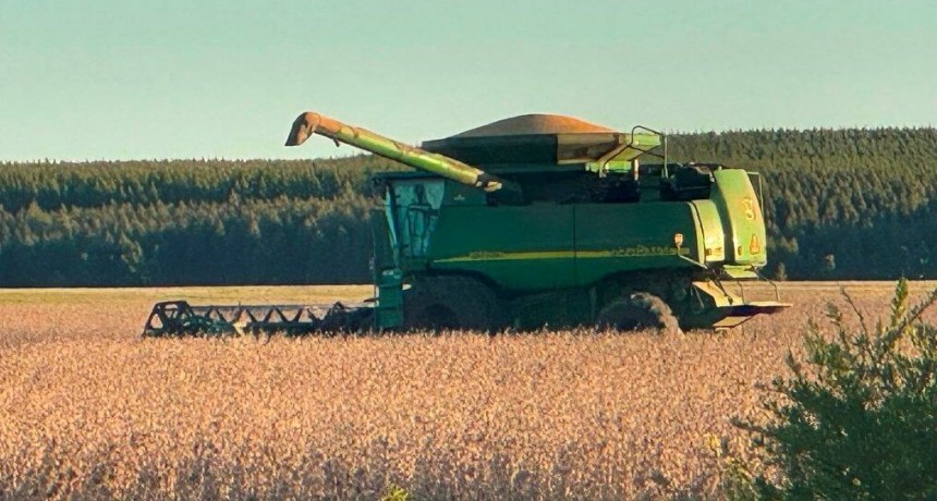 “Agravan las brechas de competitividad”: en Entre Ríos, las retenciones se llevan U$S 93 millones por año