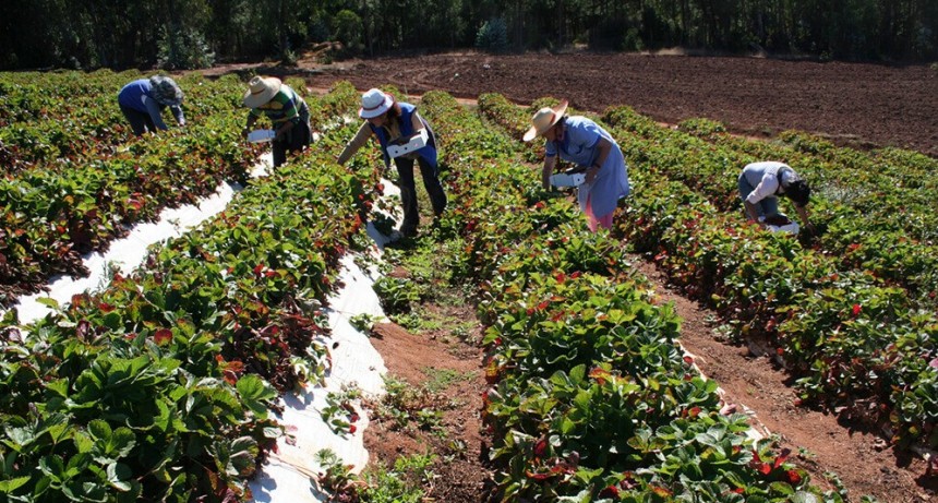El Gobierno creó el Instituto Nacional de la Agricultura Familiar, Campesina e Indígena