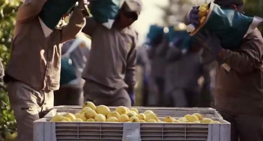 El campo rechazó el dólar diferencial para las economías regionales