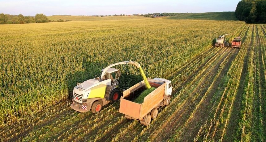 El clima también impacta en la carne: la siembra retrasada de maíz complicará el engorde 2023