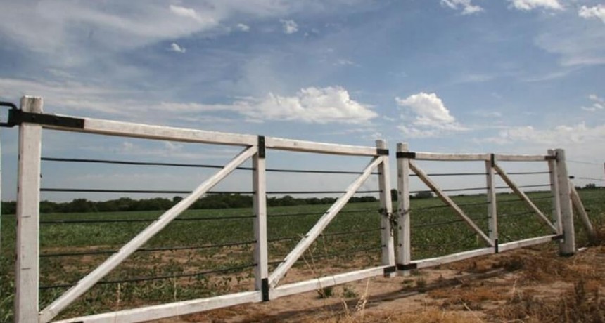 Mendoza: detectaron casos de trabajo infantil en operativos de fiscalización de la cosecha de ajo