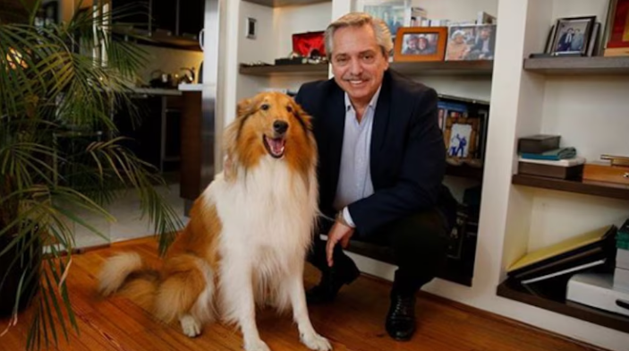 Murió Dylan, el perro de Alberto Fernández: la despedida en redes del ex Presidente