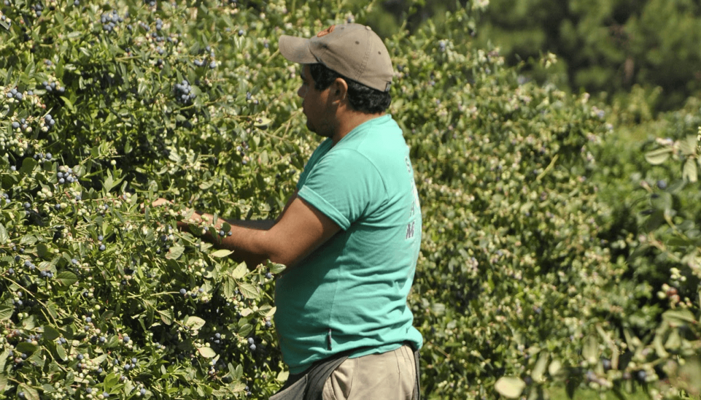 La prestación por desempleo del RENATRE vuelve a subir y ya acumula un 73,3% en lo que va del año