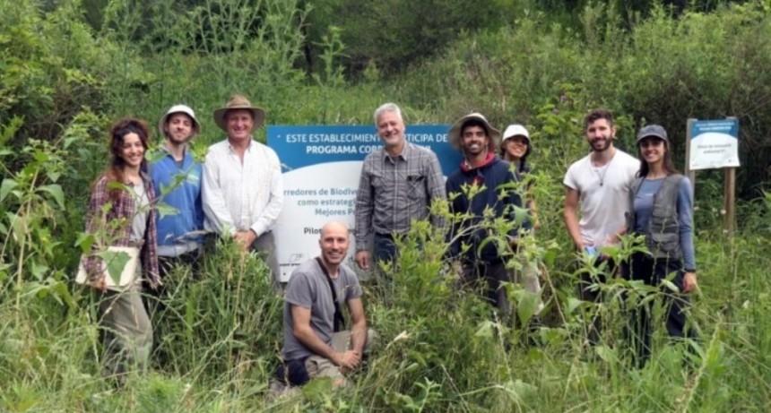 El Delta del Paraná se restaura con especies nativas: ya plantaron más de 600 ejemplares