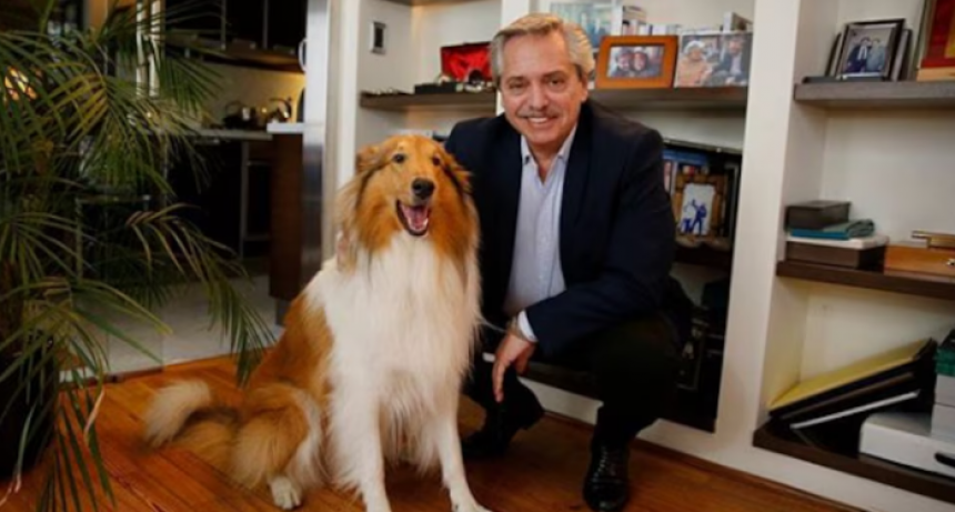 Murió Dylan, el perro de Alberto Fernández: la despedida en redes del ex Presidente