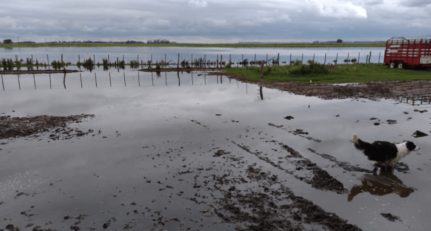 Inundaciones: informes del INTA y CARBAP reafirman la situación crítica y vuelven los reclamos por obras