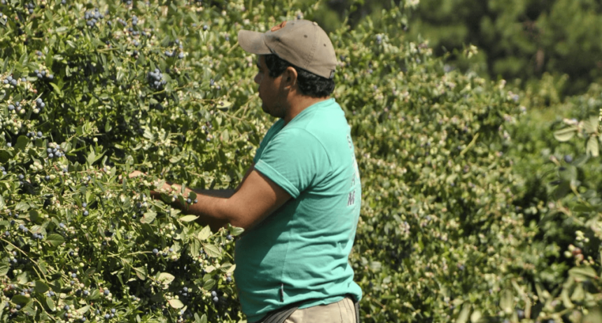 La prestación por desempleo del RENATRE vuelve a subir y ya acumula un 73,3% en lo que va del año