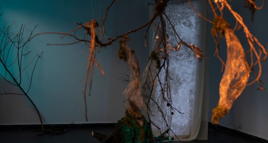 El despertar del bosque: activación sonora en vivo