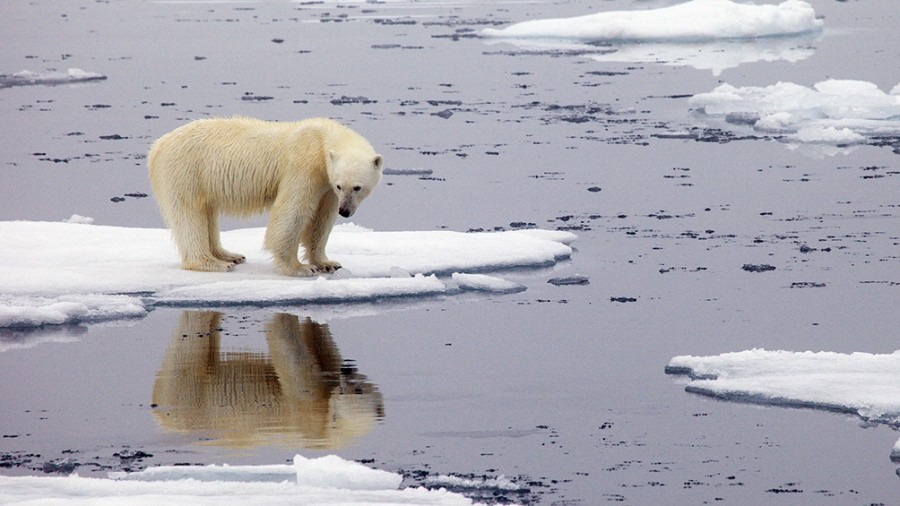 El récord de calor en el Ártico 