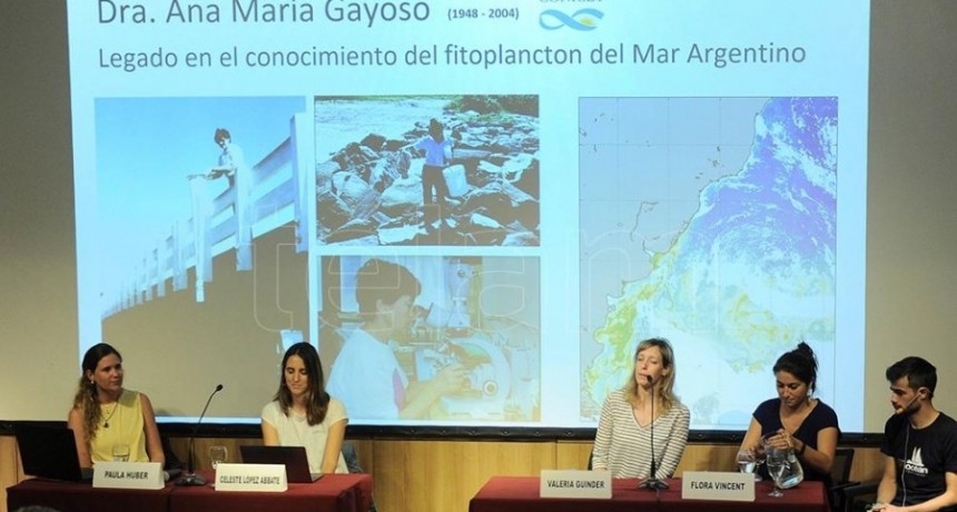  La campaña oceánica internacional homenajea a Ana María Gayoso, bióloga argentina 