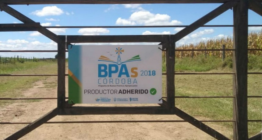 Red BPA: circulan campañas que no pasan “el tamiz de la ciencia ni son parte de la realidad”