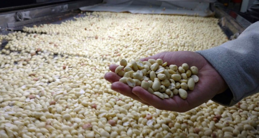 Los maniseros agradecieron la baja en las retenciones