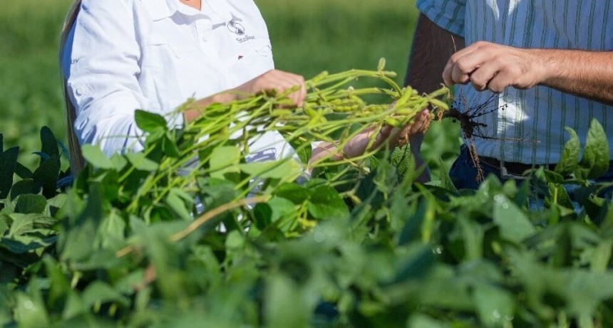 Un acuerdo global, con impacto en Argentina: Corteva anunció la compra de Stoller