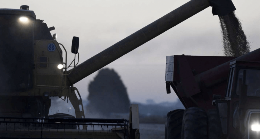 Para leer el fin de semana largo: dos libros que ponen el valor el aporte de la agroindustria al país