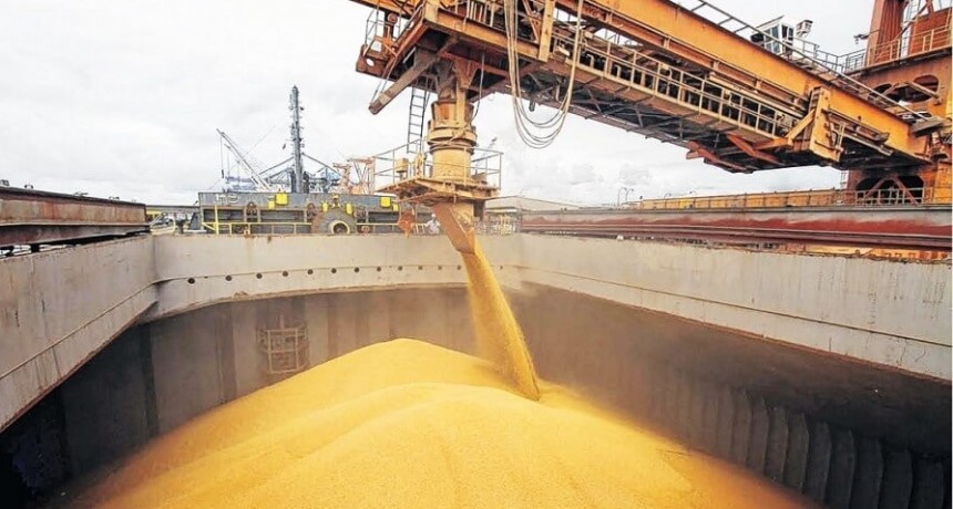 Argentina, el único país de Latinoamérica con superávit comercial en todos los productos agropecuarios