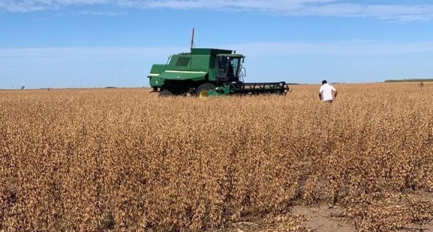 Distribuyen $ 1.720 millones en compensaciones para 1.754 productores de soja y maíz