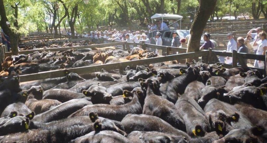 Suba de la hacienda: a dólar oficial, está en el precio más alto desde 1991