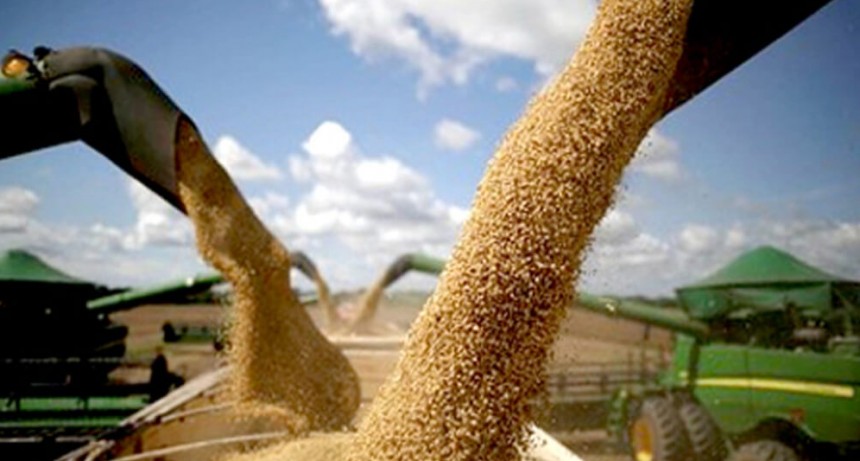 La promesa de libertad total por ahora deberá esperar: el Gobierno cerró los registros de exportación