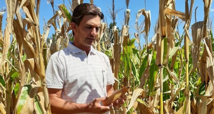 Fabio, el productor entrerriano que hace hasta 3 cultivos por campaña y ya casi no usa herbicidas