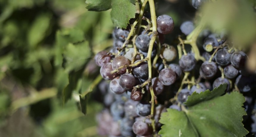 “Las retenciones se quitarán lo antes posible se logren las metas de estabilización”