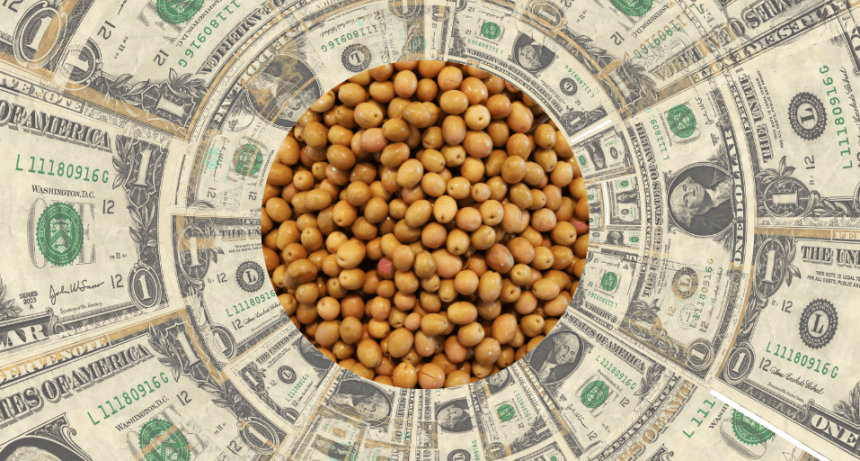 “Las retenciones desalientan cualquier evaluación de potenciales inversiones”