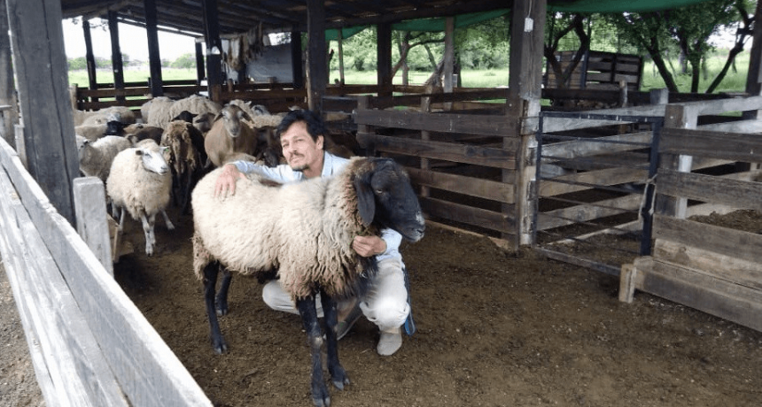 No solo en la Patagonia: los ovinos amplían su mapa productivo y se animan al calor de Corrientes