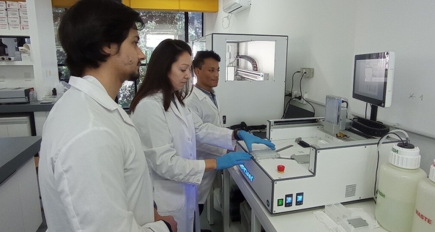 Marcadores moleculares: en Uruguay controlan la legalidad de las semillas con know how argentino