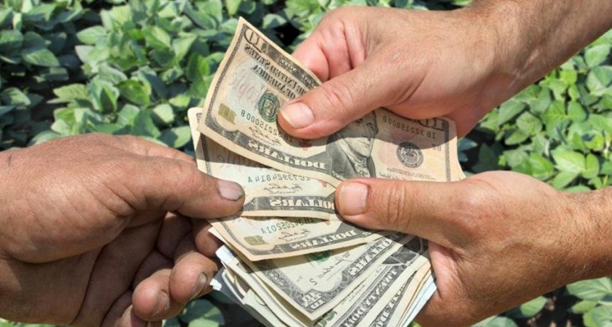 Financiamiento: cayó la demanda de créditos del campo, aunque crecen fuertes las opciones en dólares