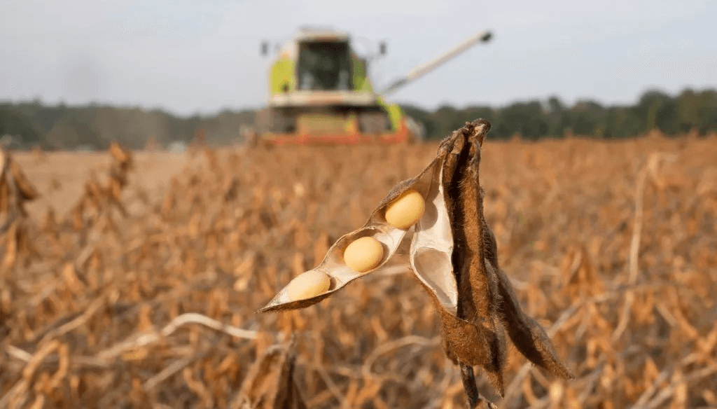 “Un buen mensaje para el productor”: el agro celebra la nueva rebaja de retenciones