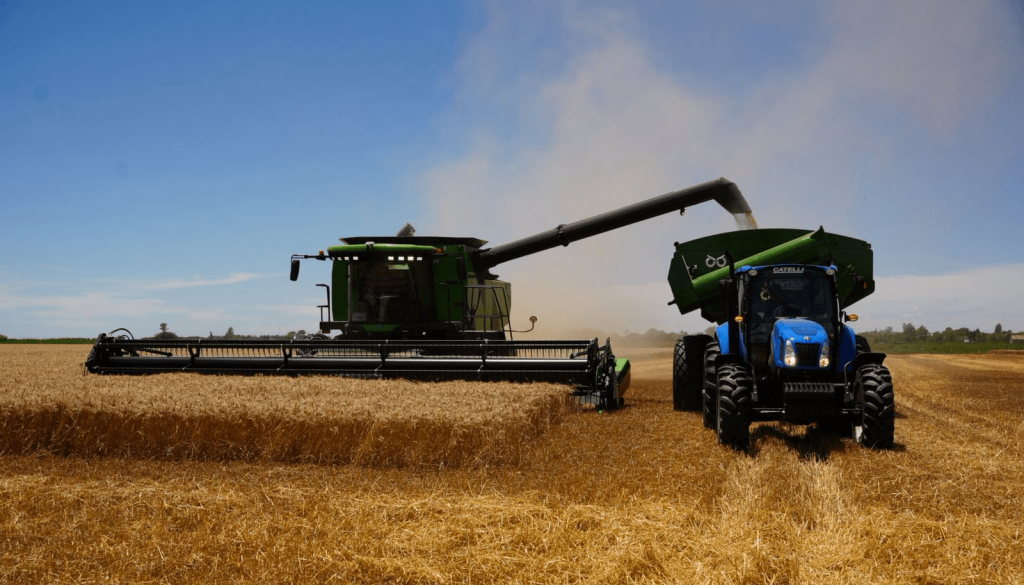 La supercosecha de trigo y un gran desafío: ¿es posible exportar más de 20 millones de toneladas?